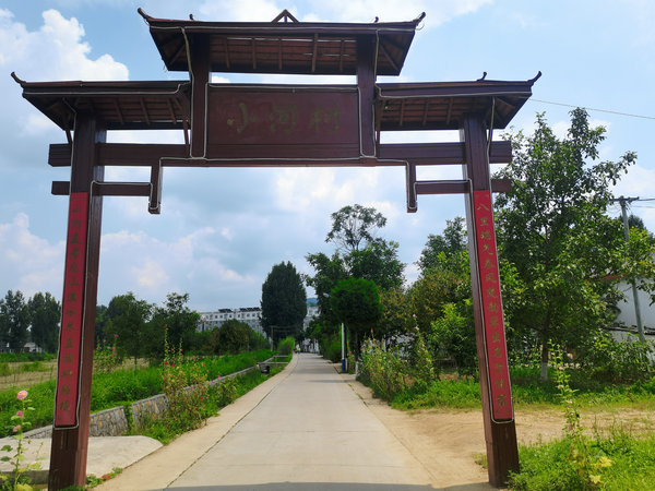 驻村帮扶办实事 村委致谢送锦旗